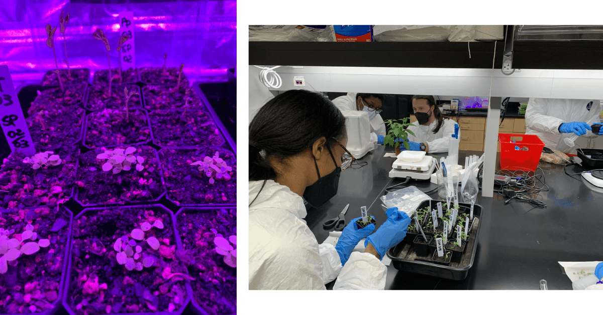 How One HBCU Is Working To Grow Plants On Mars The Plug